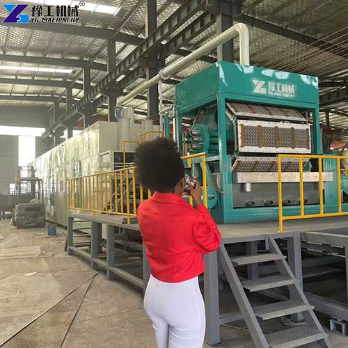 customer visits YG tray production machine factory