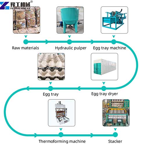 egg tray manufacturing machine production process