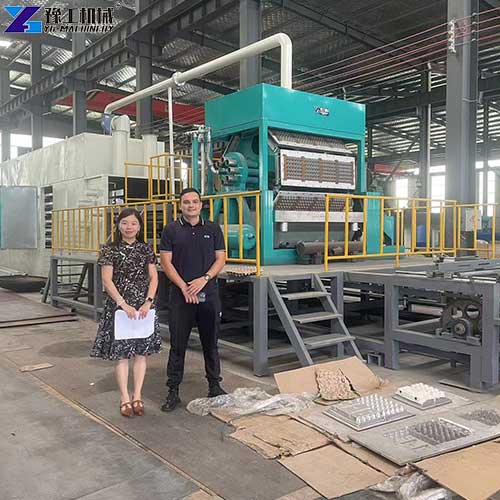 egg tray production machine manufacturer display