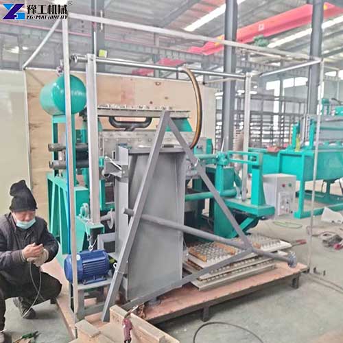 YG egg tray maker machine factory test