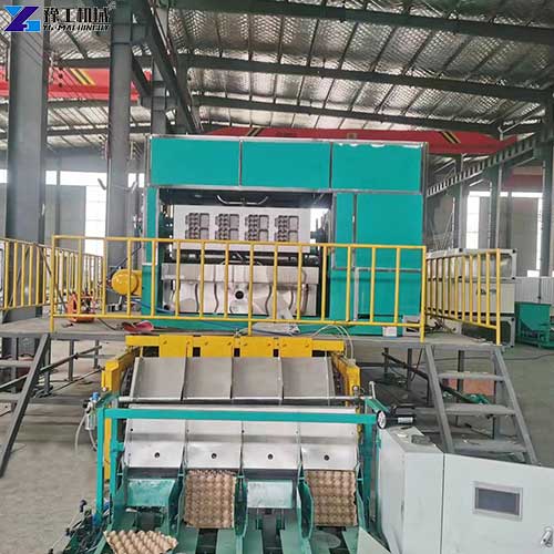 egg tray machine price